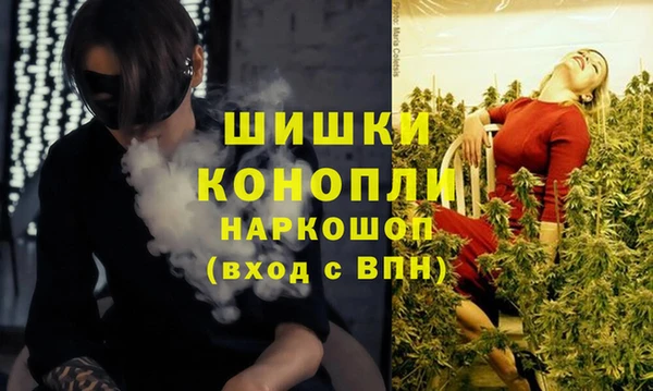PSILOCYBIN Алексеевка