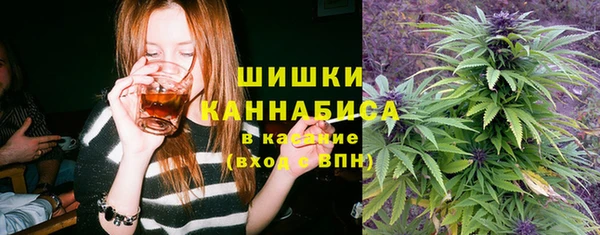 spice Алзамай