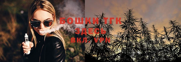 PSILOCYBIN Алексеевка