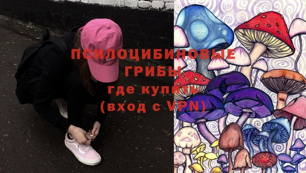 PSILOCYBIN Алексеевка