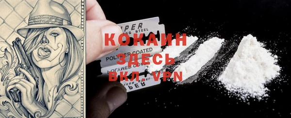 PSILOCYBIN Алексеевка