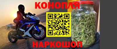 прущие грибы Кизляр