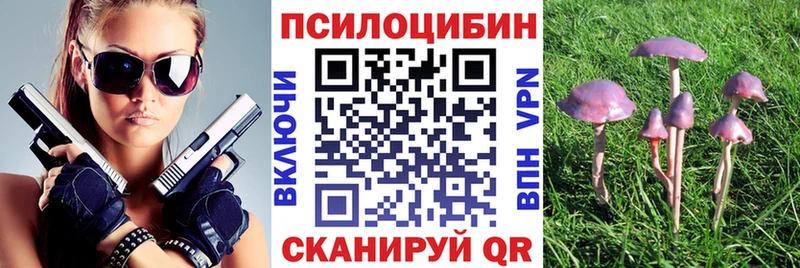 Псилоцибиновые грибы Psilocybe  Геленджик 
