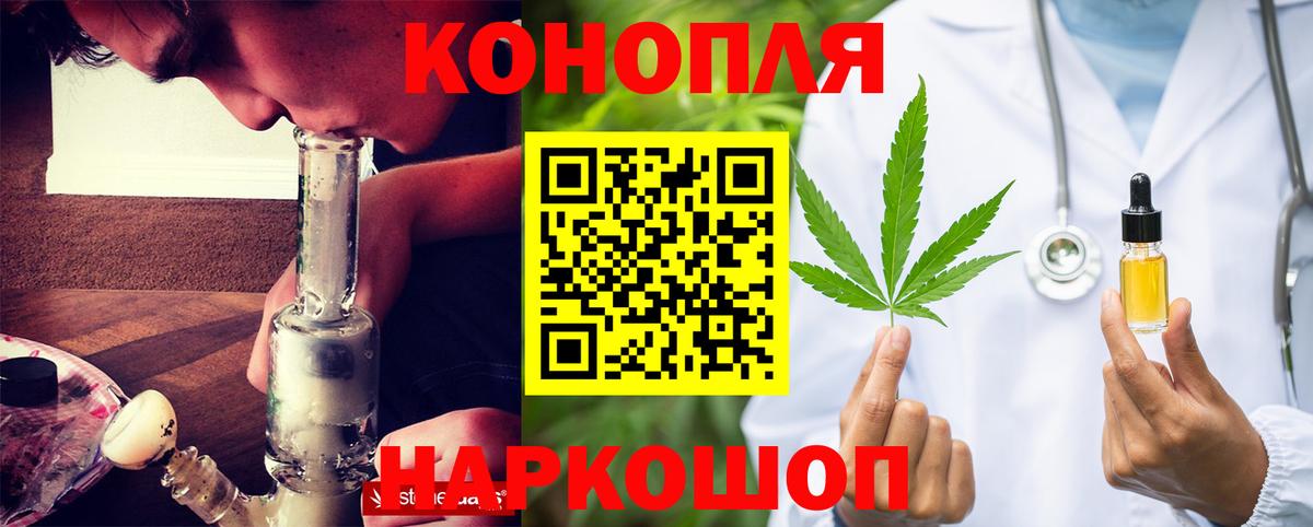 Конопля планчик Геленджик
